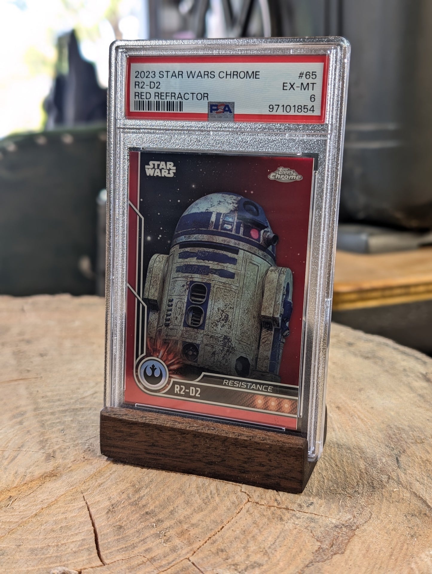 Beezer's Trading Card Display Stand