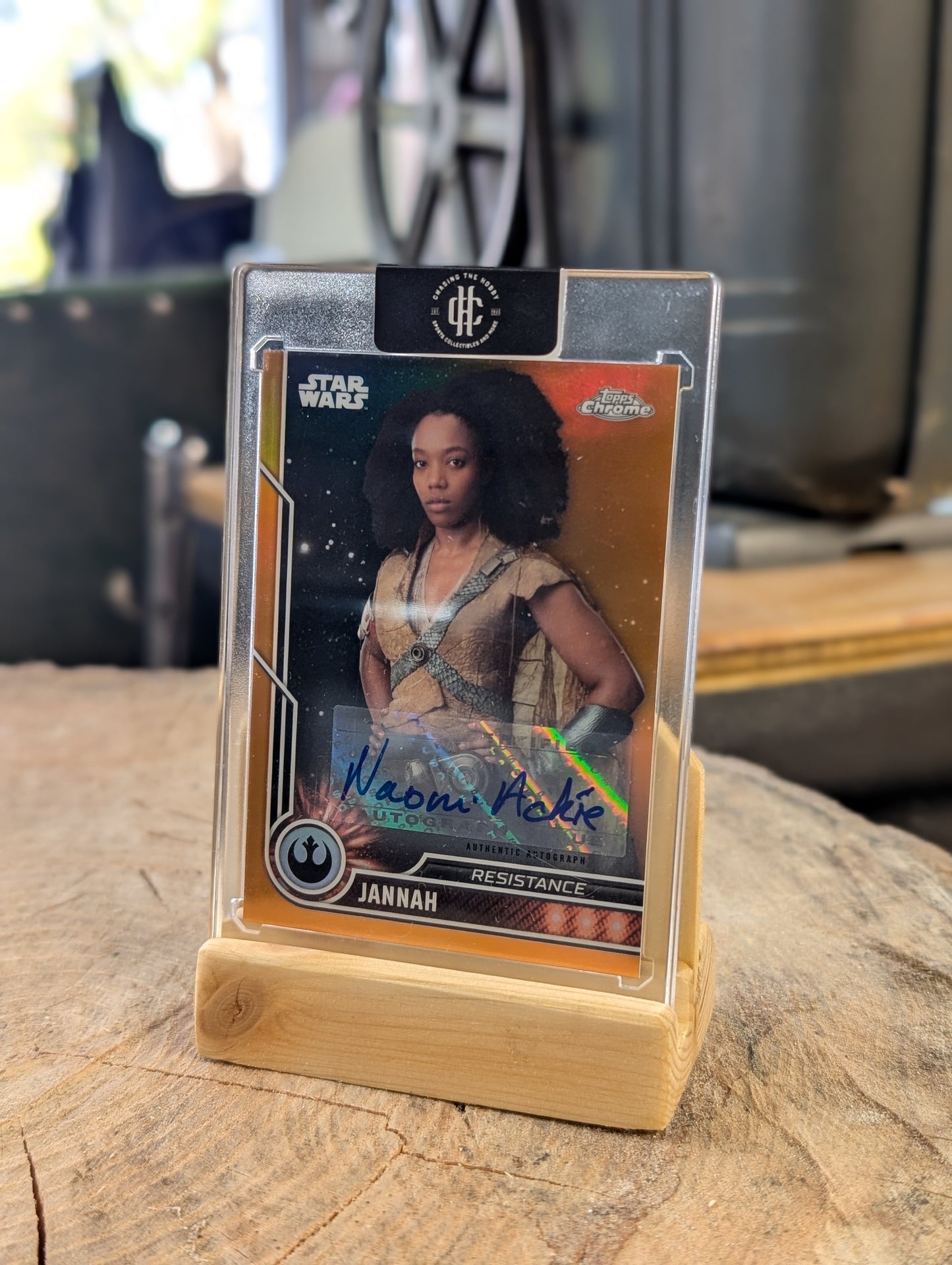 Beezer's Trading Card Display Stand
