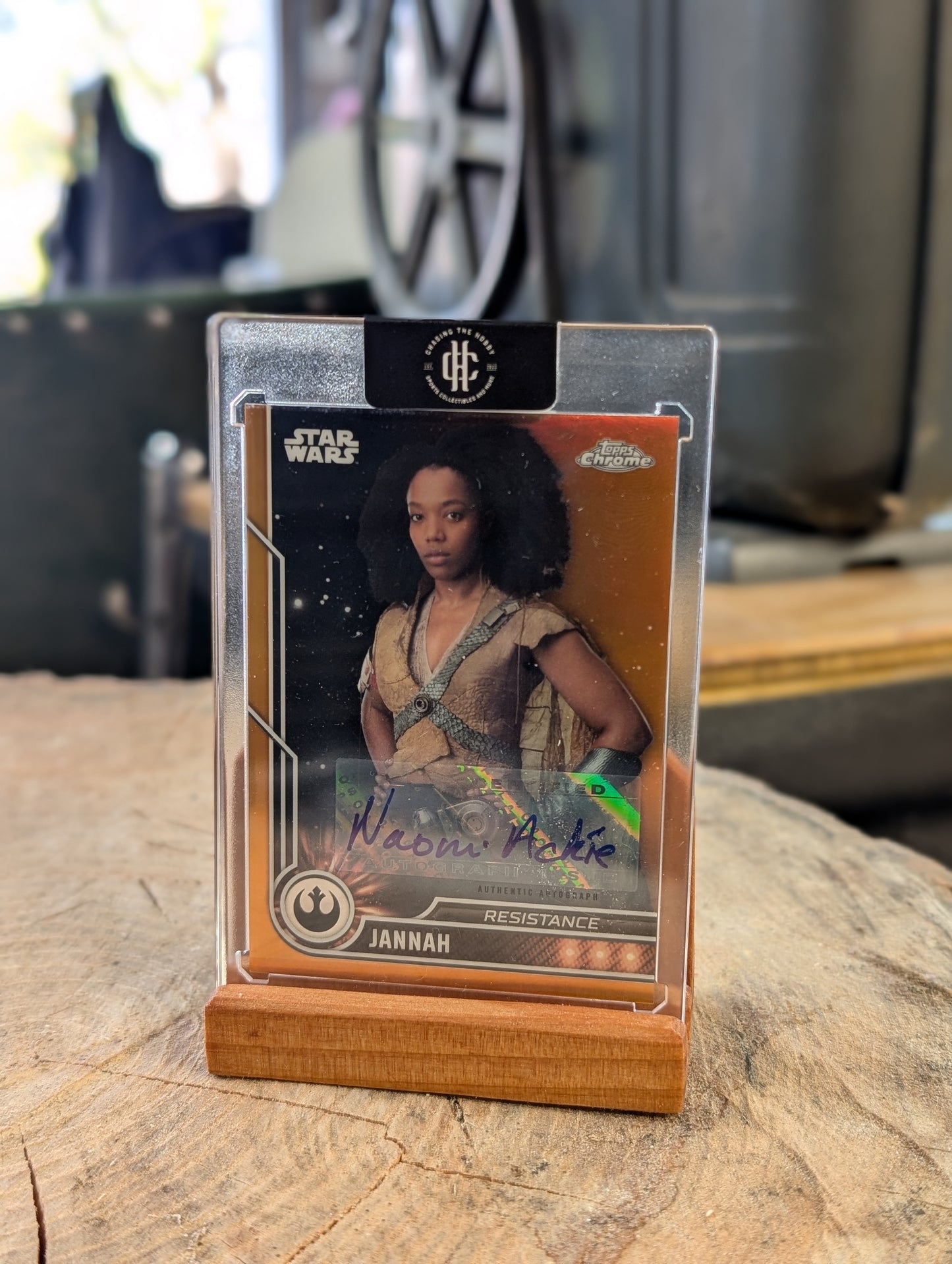 Beezer's Trading Card Display Stand