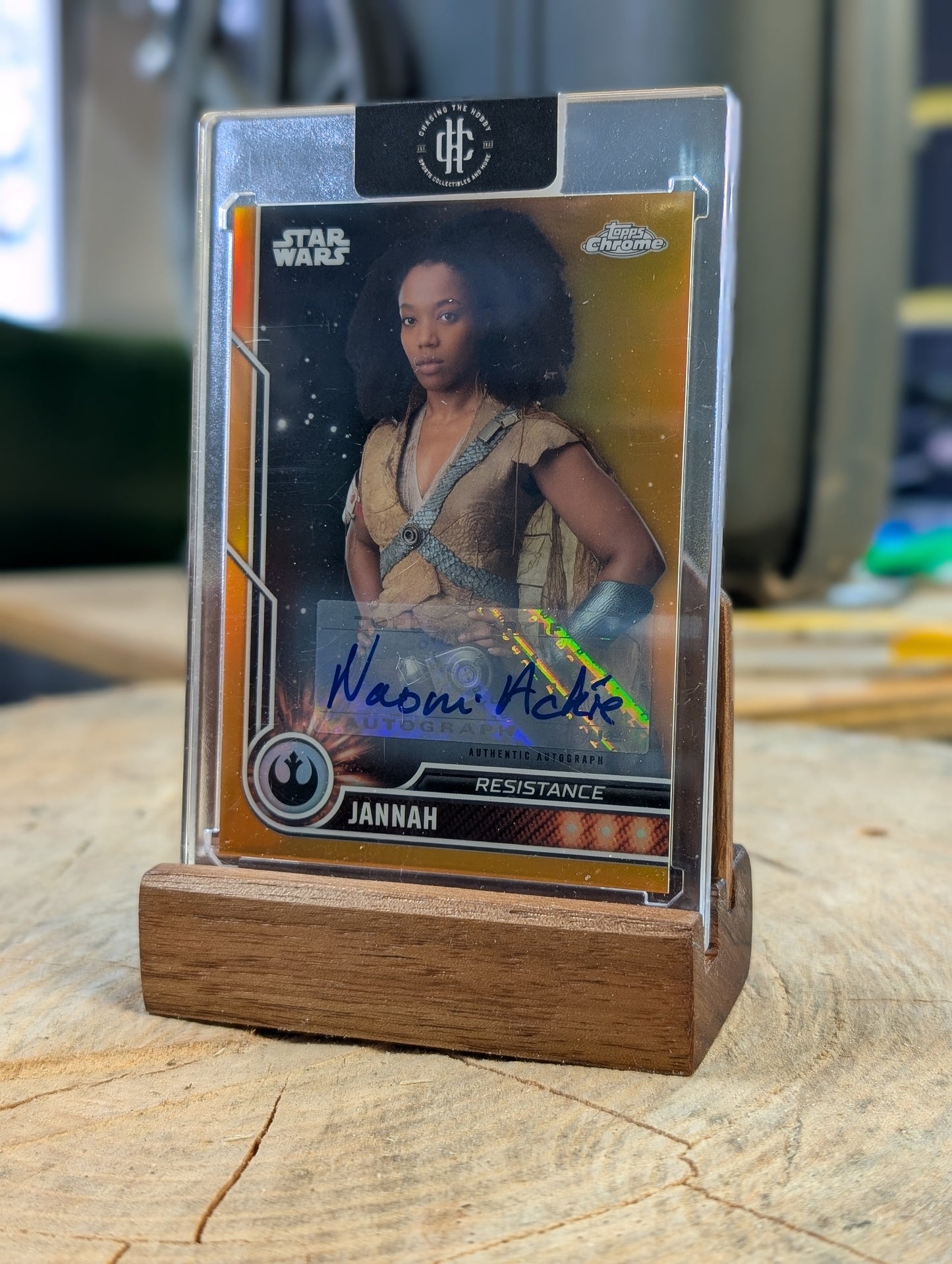 Beezer's Trading Card Display Stand