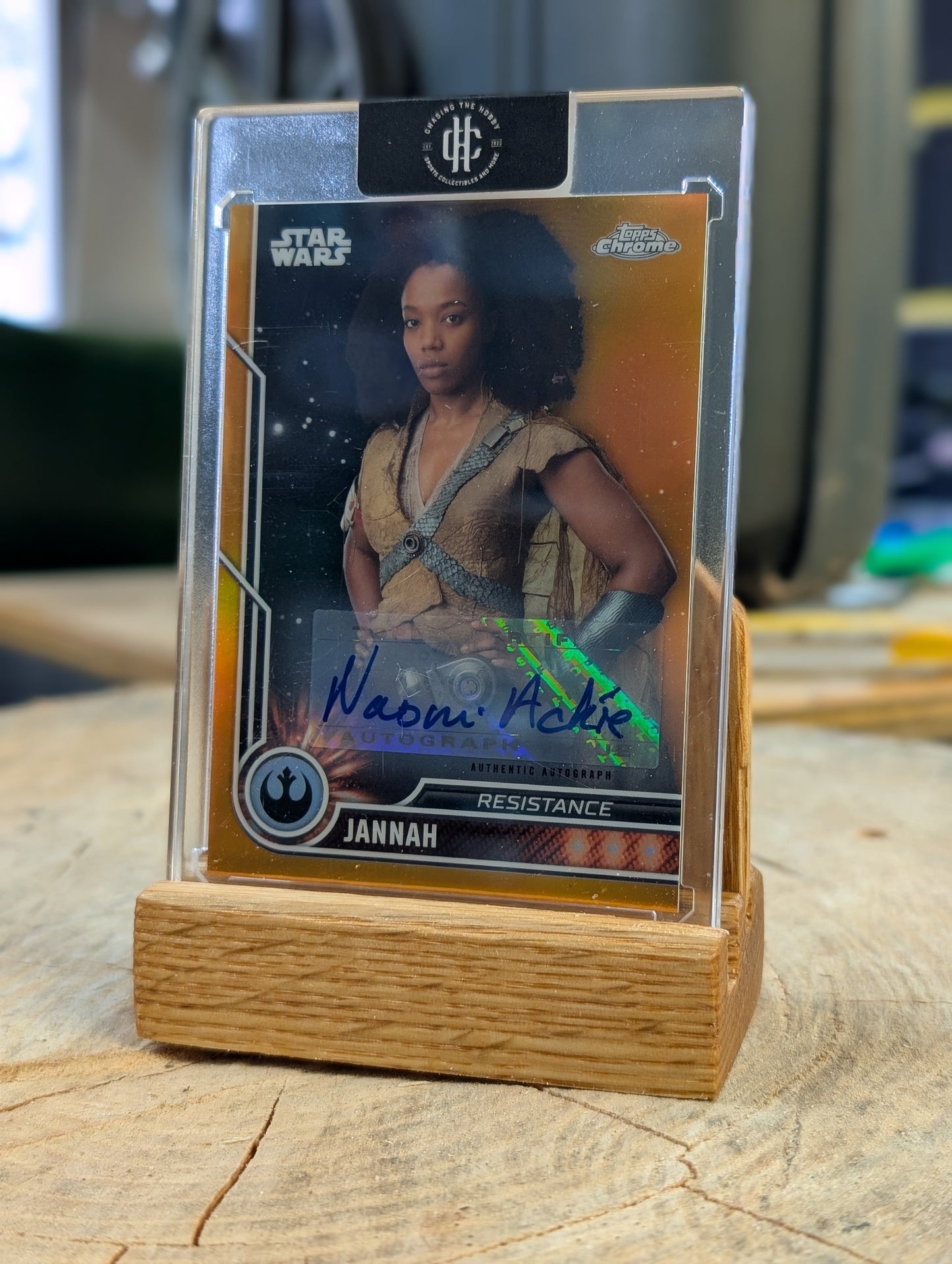Beezer's Trading Card Display Stand